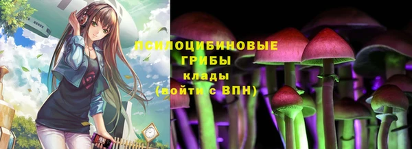 мяу мяу мука Рославль