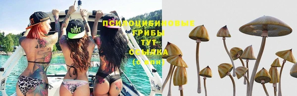 первитин Ростов