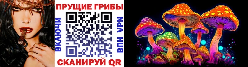 кракен ссылки  Юрьев-Польский  Псилоцибиновые грибы Magic Shrooms 
